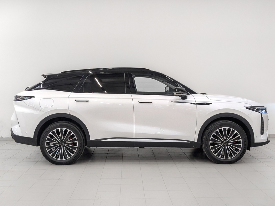 Exeed RX Flagship 2.0T/249 8AT 4WD