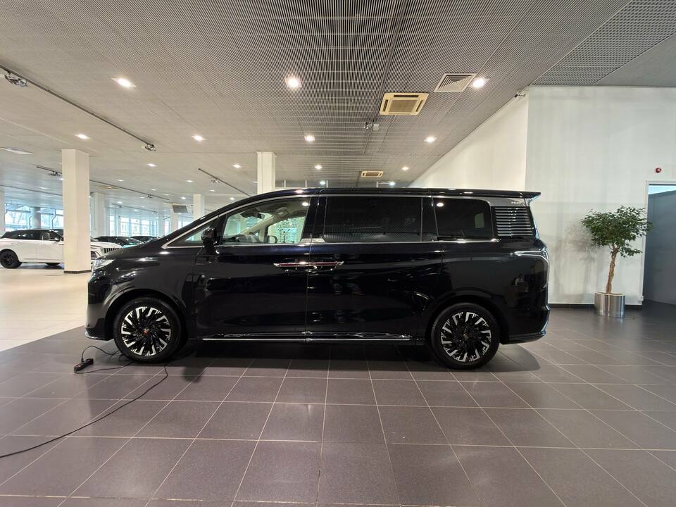 Hongqi HQ9 Executive 2.0T/245 8AT