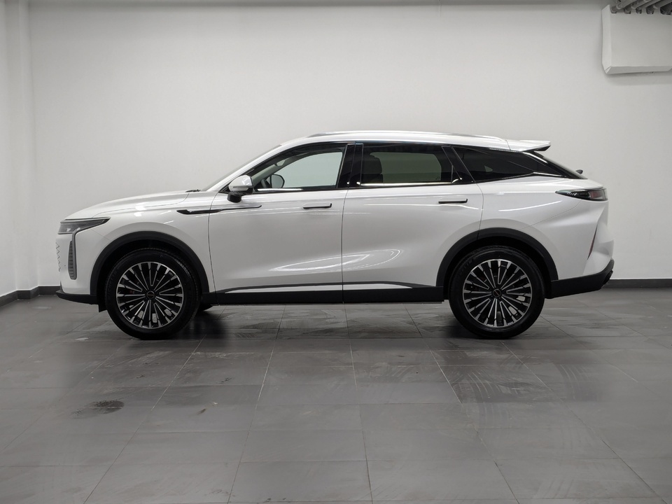 Exeed RX Premium 2.0T/249 8AT 4WD