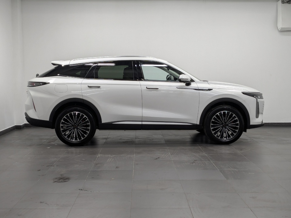 Exeed RX Premium 2.0T/249 8AT 4WD