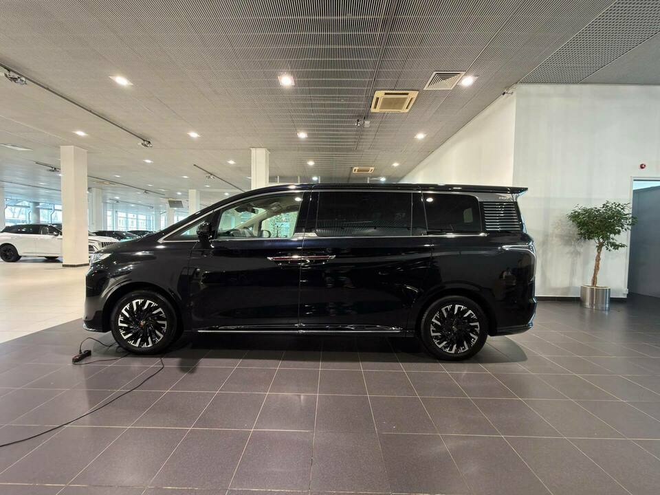 Hongqi HQ9 Executive 2.0T/245 8AT