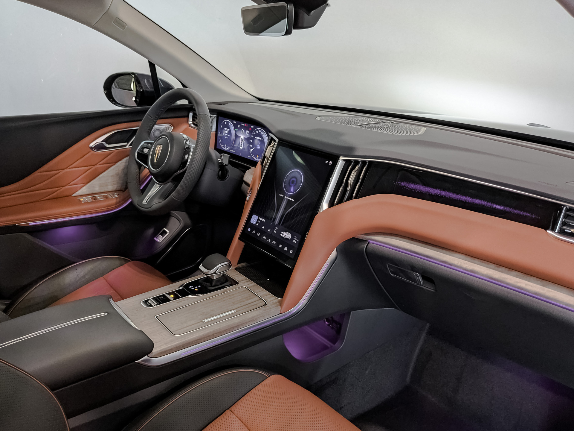 Фото Hongqi HS7 Deluxe 2.0T/245 8AT 4WD