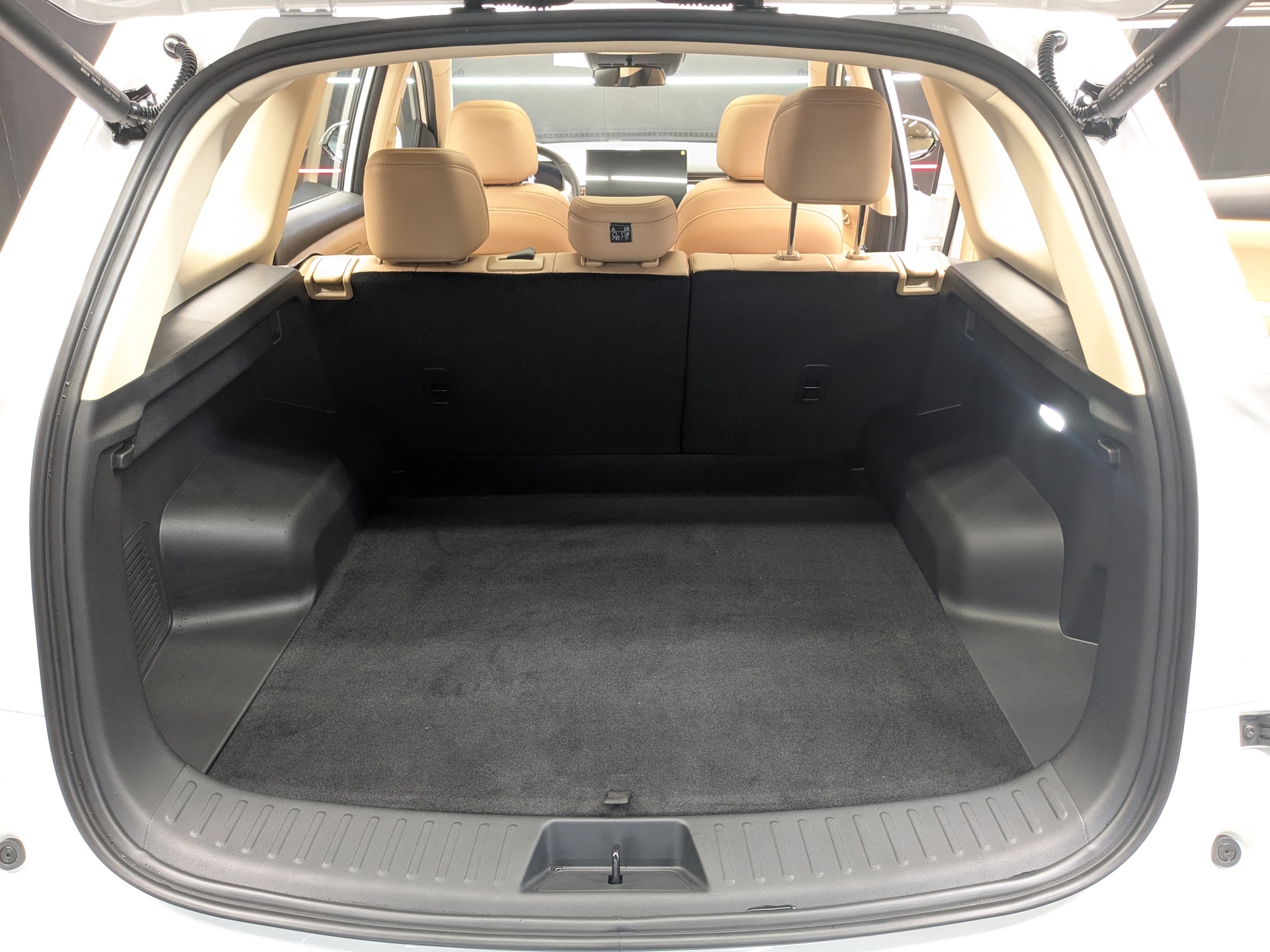 Фото Evolute i-SPACE 5 мест 1.5ELH/159 25кВт 4WD