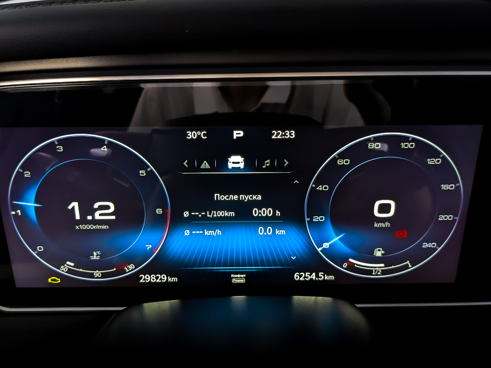 Фото Hongqi HS5 с пробегом 29700 км