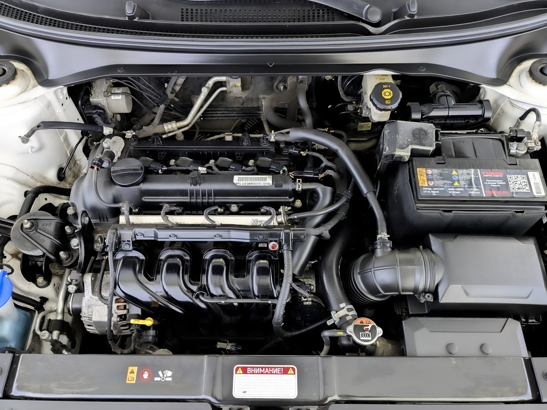 KIA Rio X 1.60 (123 л.с), автомат, 2022, пробег 102 328 км