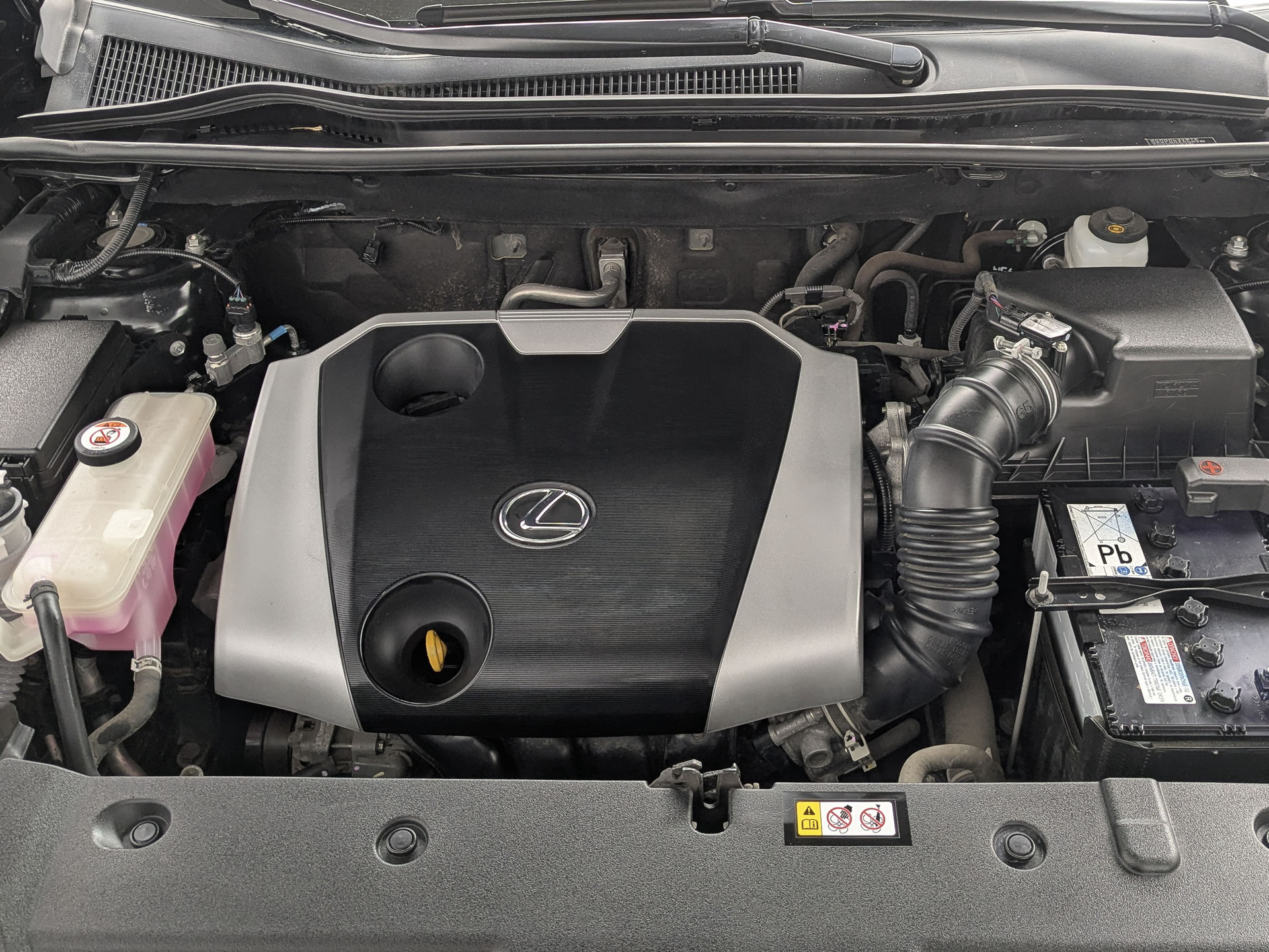 LEXUS NX 2.00 (150 л.с), автомат, 2021, пробег 30 236 км