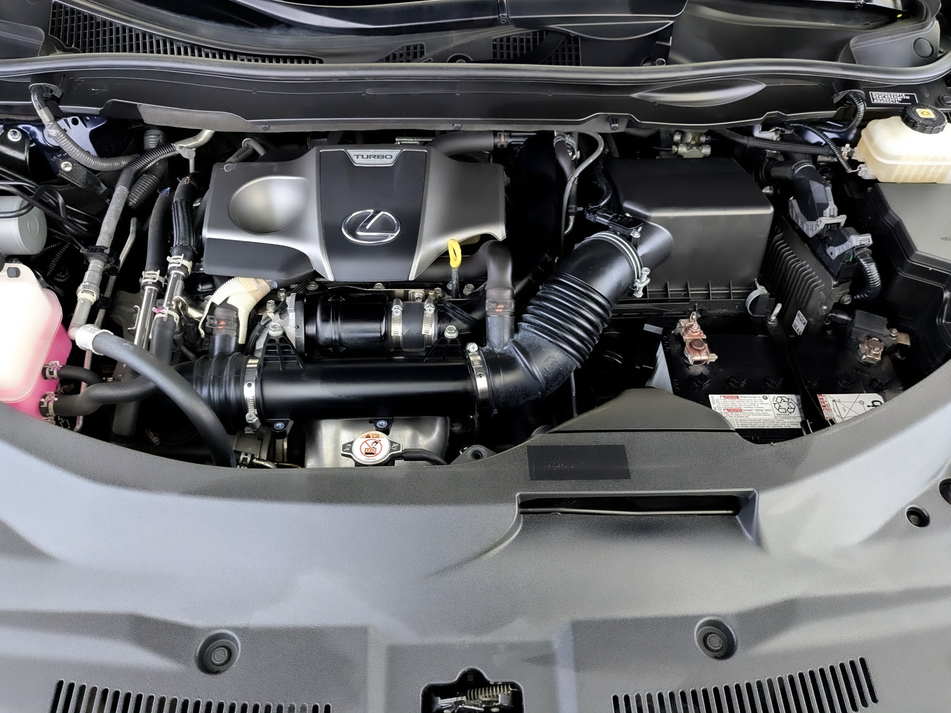 LEXUS RX 2.00 (238 л.с), автомат, 2021, пробег 65 400 км