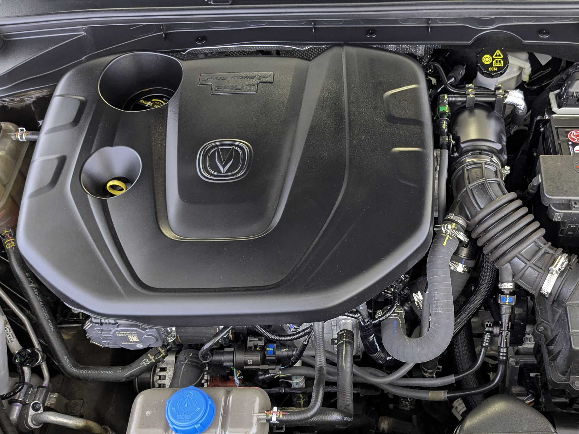CHANGAN Eado plus 1.40 (150 л.с), автомат, 2023, пробег 17 290 км