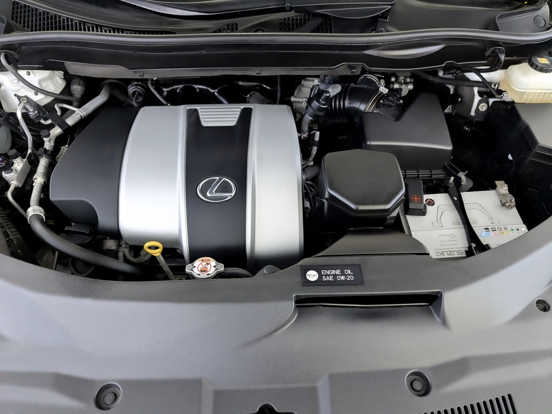 LEXUS RX 3.50 (294 л.с), автомат, 2019, пробег 56 545 км
