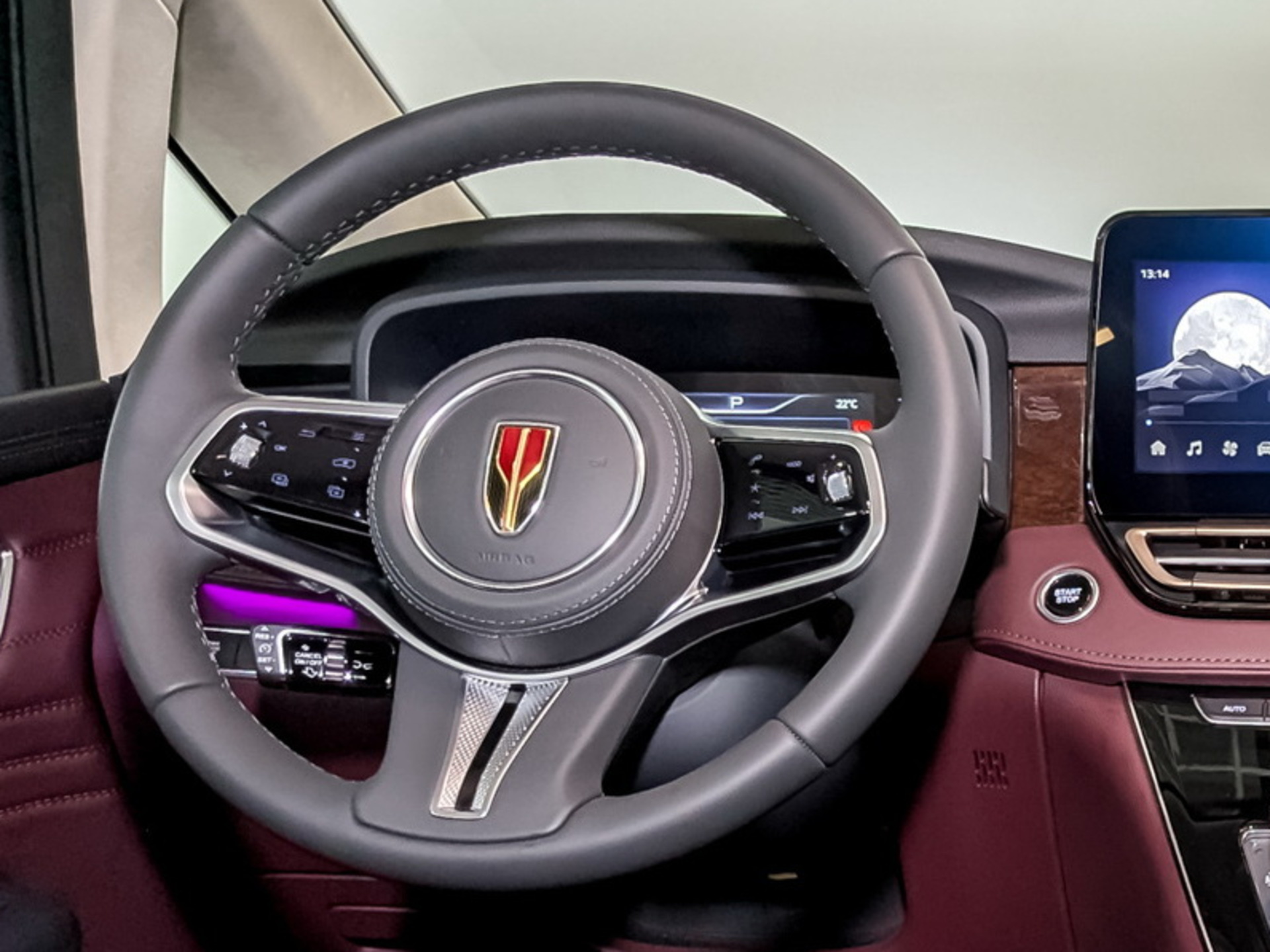 Фото Hongqi HQ9 Executive 2.0T/245 8AT